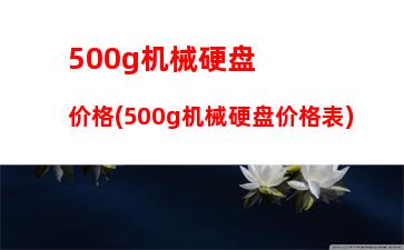 00g机械硬盘价格(500g机械硬盘价格表)"
