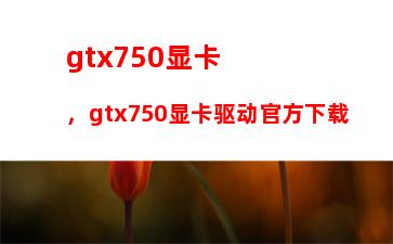 gtx750显卡，gtx750显卡驱动官方下载