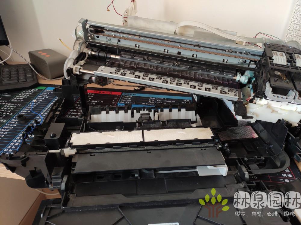 打印机 佳能-佳能打印机脱机状态怎么解除