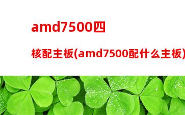 amd8350显卡(AMD8350功耗)