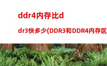 ddr4内存带宽(ddr4内存带宽一般是多少)