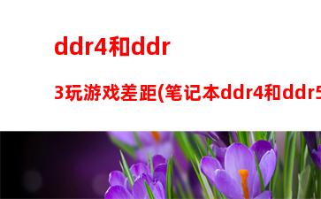 ddr2和ddr3的游戏区别(内存条ddr2和ddr3的区别)
