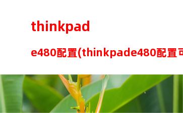 thinkpadx201i笔记本