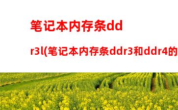 笔记本内存ddr3l高频(笔记本内存ddr3和ddr3l通用吗)