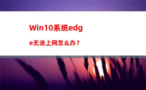 Win10系统edge无法上网怎么办？