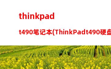 thinkpadt490笔记本(ThinkPadt490硬盘扩展)