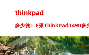 thinkpad多少钱：E采ThinkPadT490多少钱