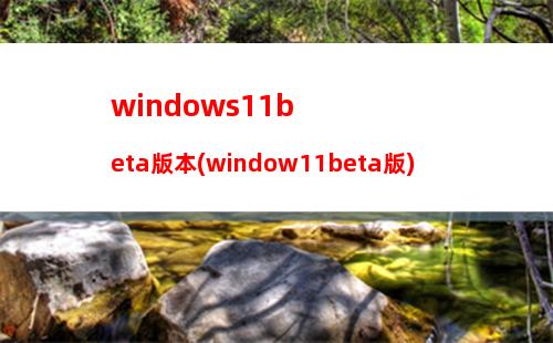 windows11beta版本(window11beta版)
