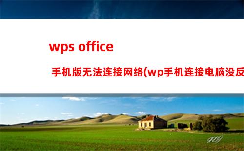 wps office 手机版无法连接网络(wp手机连接电脑没反应)