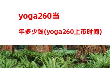 yoga260当年多少钱(yoga260上市时间)
