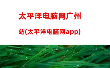 太平洋电脑网广州站(太平洋电脑网app)