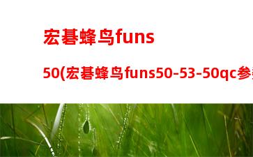 宏碁蜂鸟funs50(宏碁蜂鸟funs50-53-50qc参数)