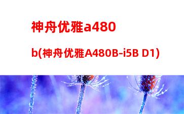 神舟优雅a480b(神舟优雅A480B-i5B D1)